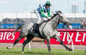 Flemington Raceday | Just Horse Racing Puissance De Lune winning the Queen Elizabeth Stakes at Flemington - photo by Race Horse Photos Australia