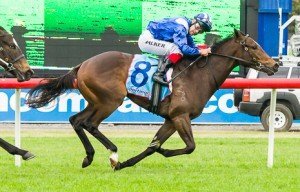 Sandown Raceday
