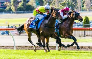 Moonee Valley Raceday