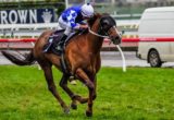 Weekend Special winning the Aspen Handicap at Flemington - photo by Race Horse Photos Australia