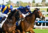 It's A Dundeal winning the Hyland Race Colours Underwood Stakes at Caulfield - photo by Race Horse Photos Australia