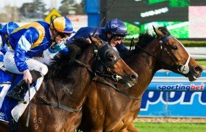 Caulfield Raceday | Just Horse Racing It's A Dundeal winning the Hyland Race Colours Underwood Stakes at Caulfield - photo by Race Horse Photos Australia