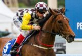 Precedence winning the Moonee Valley Cup