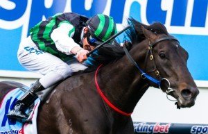 Shamus Award winning the W.S. Cox Plate at Moonee Valley - photo by Race Horse Photos Australia