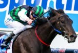 Shamus Award winning the W.S. Cox Plate at Moonee Valley - photo by Race Horse Photos Australia