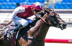 Paximadia winning the Carbine Club Stakes at Flemington ridden by Kerrin McEvoy and trained by Peter Snowden - (photo by Steven Dowden/Race Horse Photos Australia)