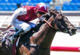 Paximadia winning the Carbine Club Stakes at Flemington ridden by Kerrin McEvoy and trained by Peter Snowden - (photo by Steven Dowden/Race Horse Photos Australia)