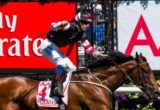 Polanski winning the VRC Victorian Derby at Flemington ridden by Hugh Bowman and trained by Robbie Laing - (photo by Steven Dowden/Race Horse Photos Australia)