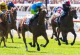 Oakleigh Girl winning the 7News Stakes at Flemington ridden by Craig Newitt and trained by Danny Bougoure - (photo by Steven Dowden/Race Horse Photos Australia)