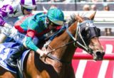 Plucky Belle winning the Lavazza Short Black at Flemington ridden by Luke Nolen and trained by Peter Moody - (photo by Steven Dowden/Race Horse Photos Australia)