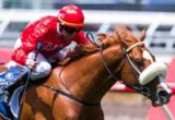 Dothraki winning the Hilton Hotels & Resorts Stakes at Flemington ridden by Nash Rawiller and trained by Gerald Ryan - (photo by Steven Dowden/Race Horse Photos Australia)