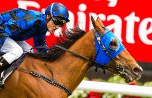 Buffering | Just Horse Racing Buffering