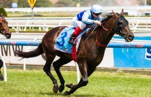 2013_11_16_Caulfield_0278 | Just Horse Racing Mahisara winning the 2013 Sandown Stakes - Photo by Steven Dowden