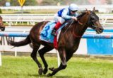Mahisara winning the 2013 Sandown Stakes - Photo by Steven Dowden