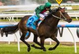 Sertorius winning the Group 2 Zipping Classic - Photo by Steven Dowden