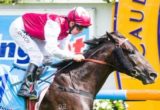 Paximadia winning the Sandown Guineas - Photo by Steven Dowden