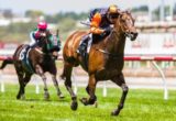 Kaiser Sun winning the Lanec Services Handicap at Flemington ridden by Chris Symons and trained by Matthew Ellerton & Simon Zahra - (photo by Steven Dowden/Race Horse Photos Australia)