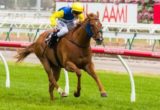 Sistine Demon winning the Skipton Handicap at Flemington ridden by Brad Rawiller and trained by Andrew Noblet - (photo by Steven Dowden/Race Horse Photos Australia)