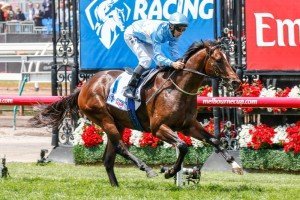 Prompt Return | Just Horse Racing Prompt Return