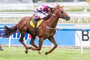 Trust In A Gust winning the Harris Walker VOBIS Gold Carat at Caulfield ridden by Damien Oliver and trained by Darren Weir - (photo by Steven Dowden/Race Horse Photos Australia)