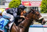 MELBOURNE, AUSTRALIA - 01/02/2014: Scratchy Bottom winning the Robert Hunter Handicap at Caulfield ridden by Michael Rodd and trained by Michael Kent - (photo by Steven Dowden/Race Horse Photos Australia)