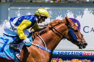 Caulfield Raceday | Just Horse Racing Sistine Demon winning the Thomas North Handicap at Caulfield ridden by Jamie Kah and trained by Andrew Noblet - (photo by Steven Dowden/Race Horse Photos Australia)