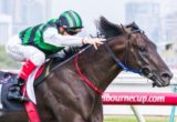 Shamus Award winning the Australian Guineas at Flemington ridden by Eddie Cassar and trained by Danny O'Brien - (photo by Steven Dowden/Race Horse Photos Australia)