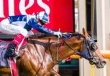 Adamantium winning the Bob Hoysted Handicap at Flemington ridden by Craig Williams and trained by Danny O'Brien - (photo by Steven Dowden/Race Horse Photos Australia)