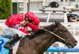 Pressing winning the Mindy Green Plate at Caulfield ridden by Daniel Moor and trained by Mick Price - (photo by Steven Dowden/Race Horse Photos Australia)