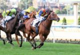 Caulfield Tips on Bel Esprit Stakes 2016 day