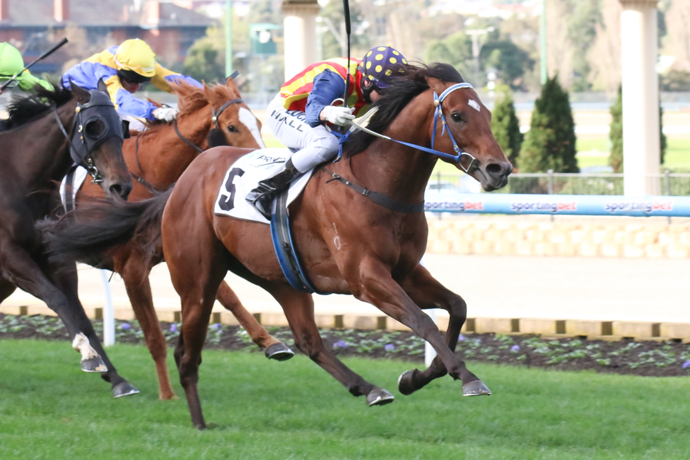 Moonee Valley Raceday | Just Horse Racing