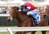Sabatini winning the Lister Quezette Stakes(GROUP 3) 1100m at Caulfield ridden by Nicholas Hall and trained by Lee & Shannon Hope - (photo by Race Horse Photos Australia)