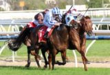 Trust In A Gust - Sir Rupert Clarke Stakes 2014