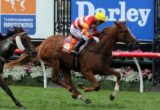 Clifton Red (Adrienne Bicknell)