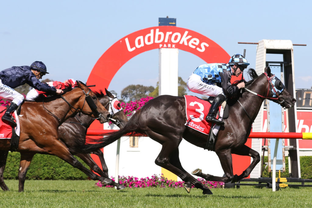 Ringerdingding,Sandown Guineas,Group 2_17-11-2018_WIN_Sandown_7__1307 | Just Horse Racing
