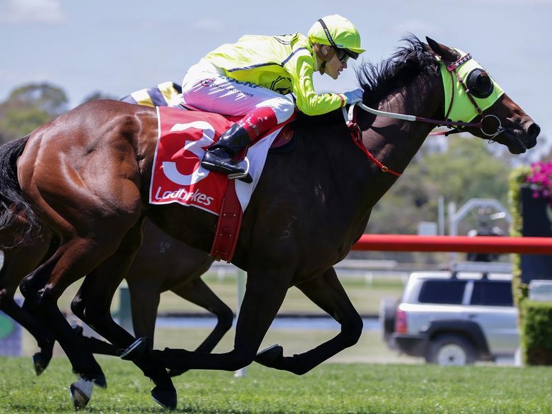Sandown Yogi | Just Horse Racing