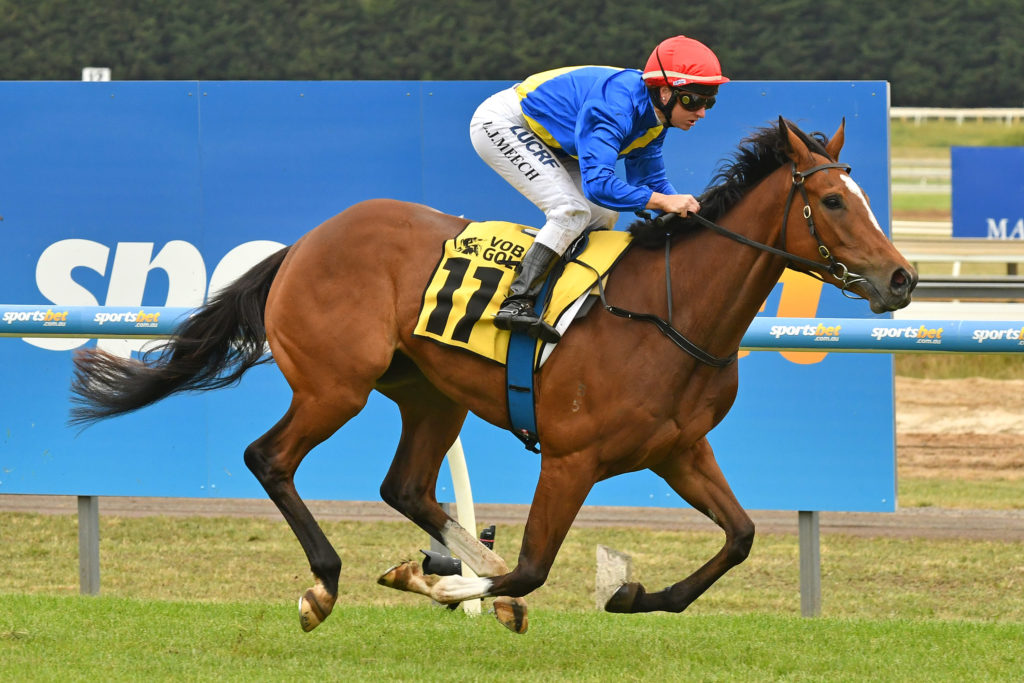The Closer | Just Horse Racing