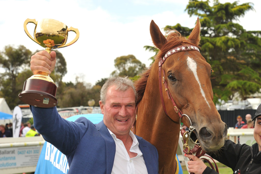 Kiwia | Just Horse Racing