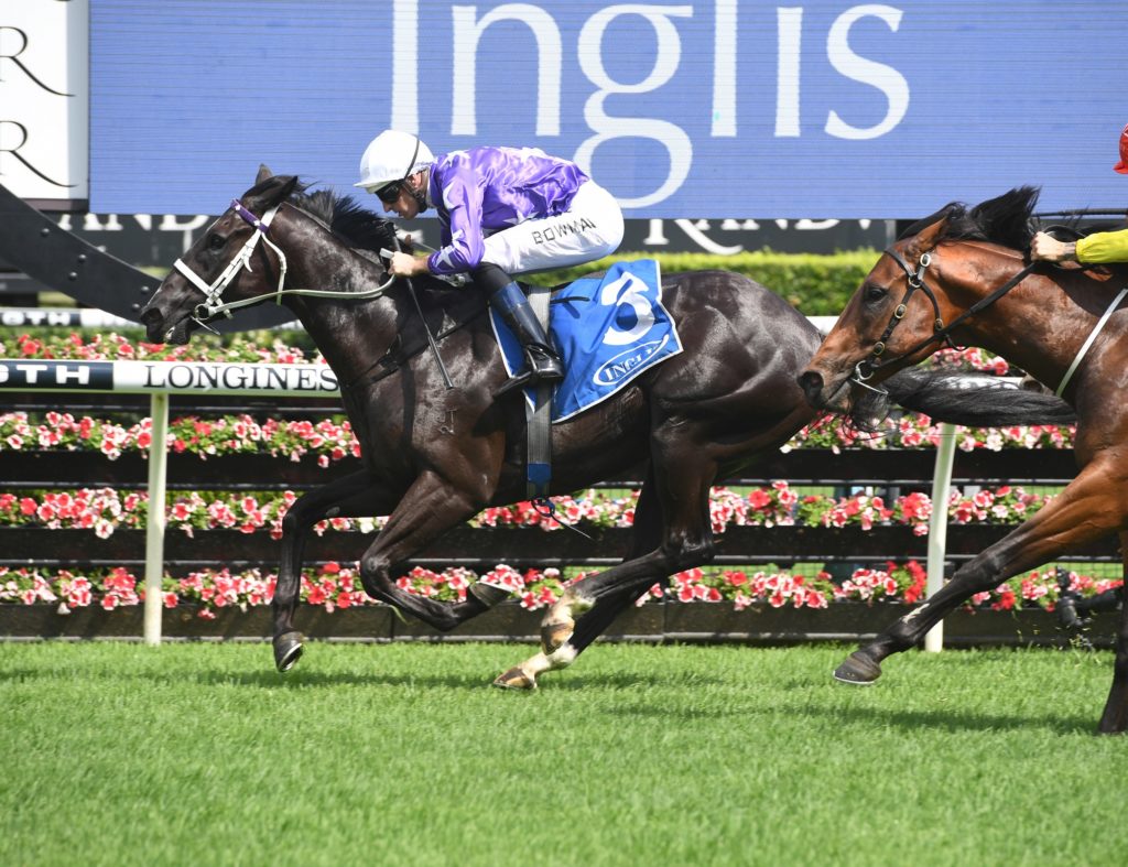 Accession 151218 8998 | Just Horse Racing
