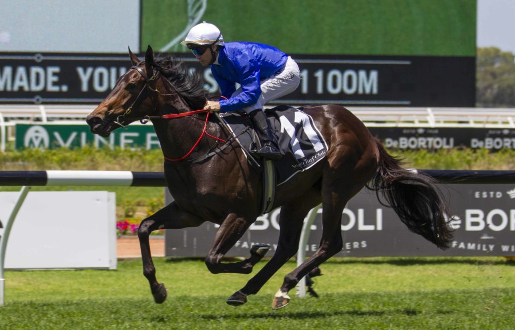 Athiri-20181201-7571_1 | Just Horse Racing