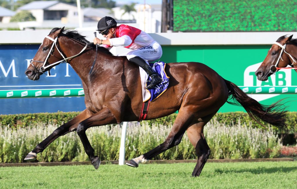 Bergerac (4) | Just Horse Racing