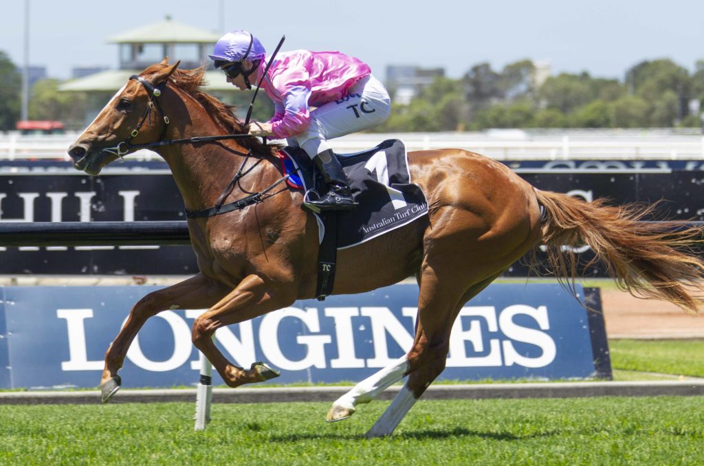 Czarson-20181208-8381_1 | Just Horse Racing