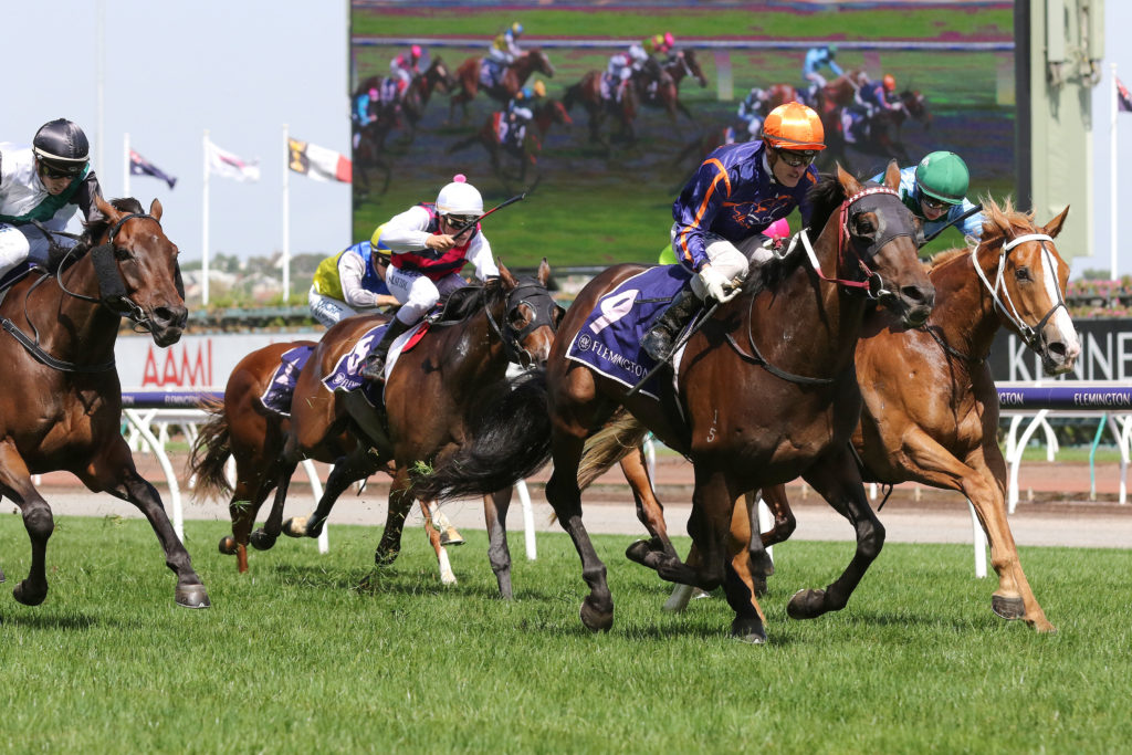 Declares War_15-12-2018_WIN_Flemington_6__1128 | Just Horse Racing