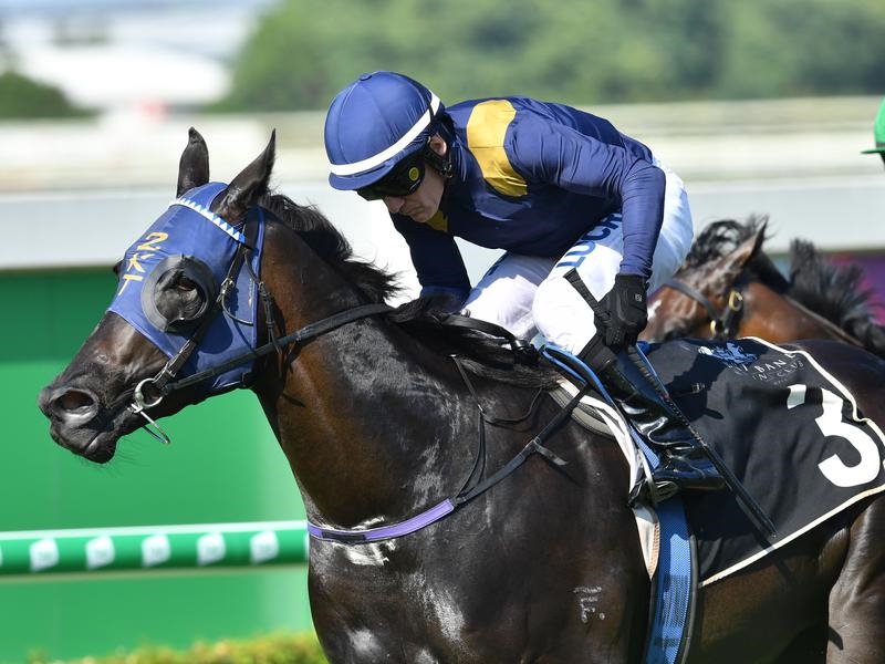 Doomben Betaima | Just Horse Racing