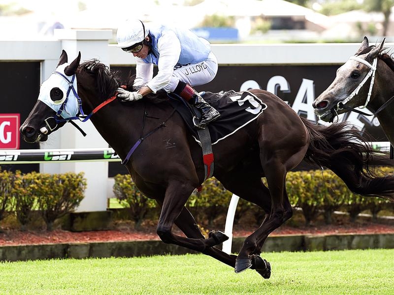 Trainer Les Ross steals a march on rivals | Just Horse Racing