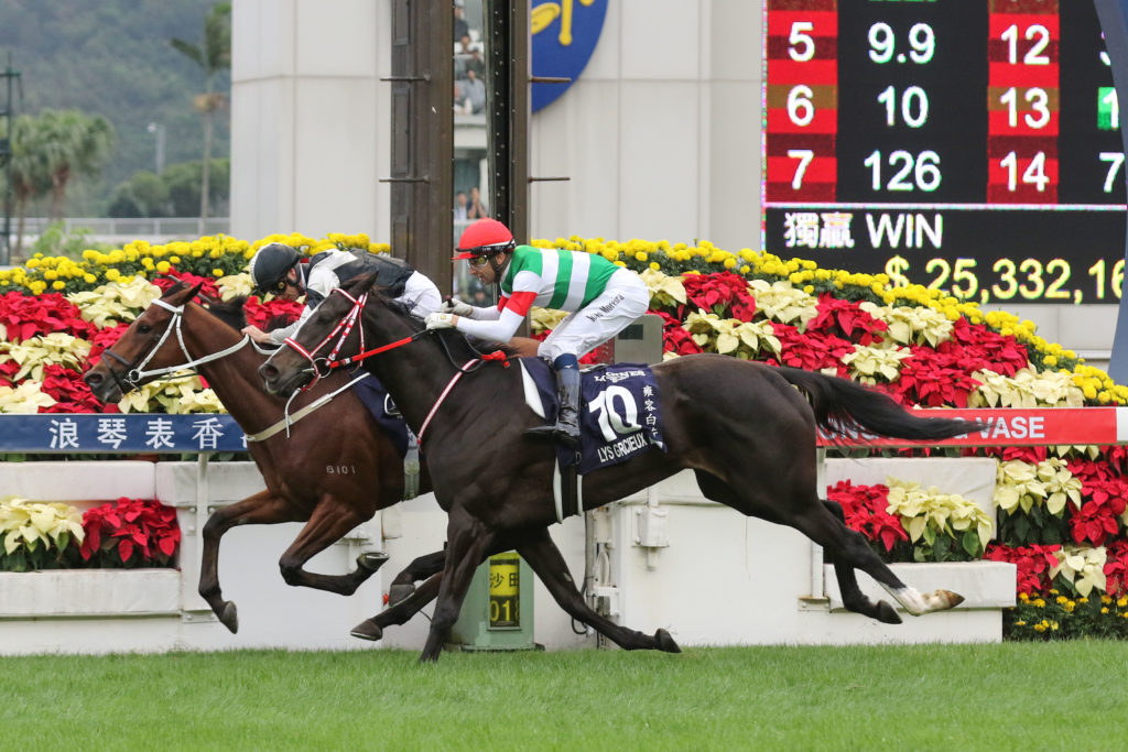 Exultant,Hong Kong Vase,Group 1_09-12-2018_WIN_Sha Tin_4__962 Lys Gracieux | Just Horse Racing
