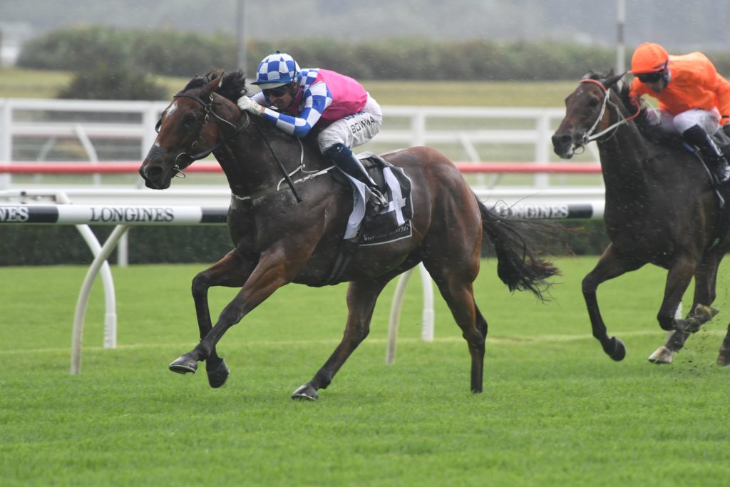 Fell Swoop 151218 9085 | Just Horse Racing