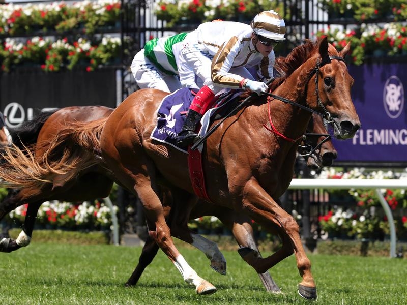 Flemington Poised | Just Horse Racing