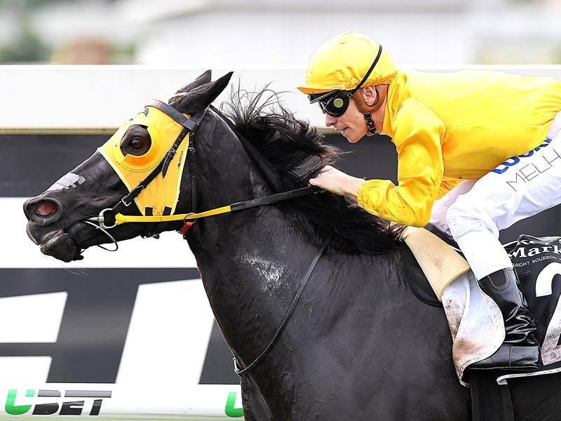 Flemington Preview | Just Horse Racing
