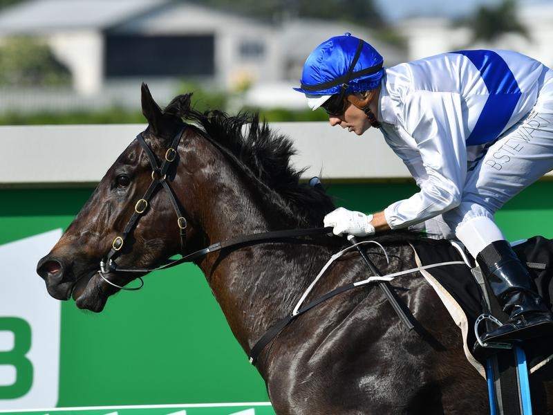 Gallops Doomben | Just Horse Racing